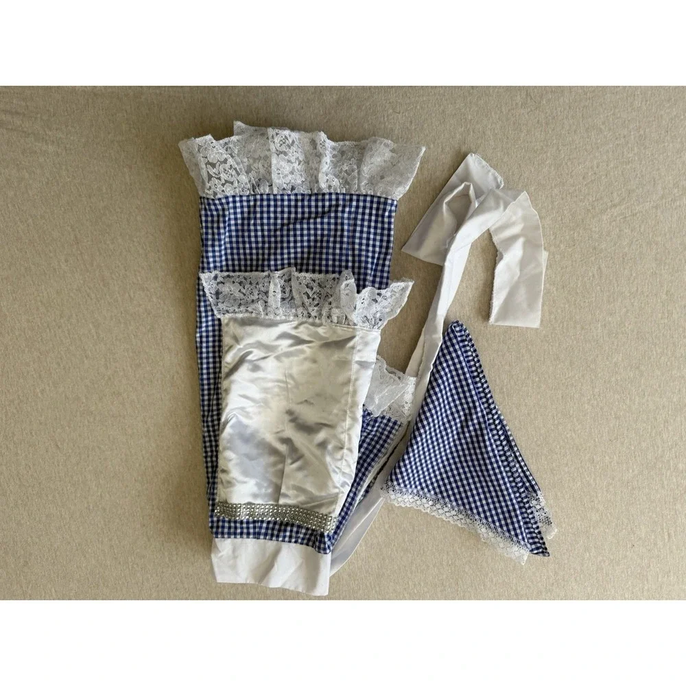 Blue Gingham Apron And Head Scarf